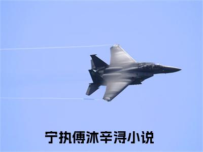 小说（宁执傅沐辛浔）最新章节免费阅读-（宁执傅沐辛浔）小说全文无删减版