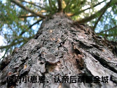 侯府小崽崽，认亲后萌翻全城全文免费阅读无弹窗-（侯府小崽崽，认亲后萌翻全城）宋娇娇小说全文在线阅读笔趣阁