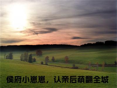 宋娇娇（侯府小崽崽，认亲后萌翻全城）全文免费阅读无弹窗大结局_宋娇娇最新章节列表_笔趣阁