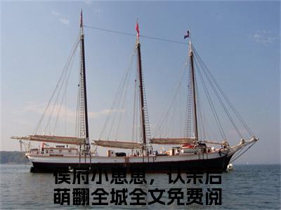 侯府小崽崽，认亲后萌翻全城宋娇娇最新章节小说推荐阅读-新书宋娇娇大结局