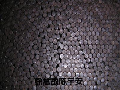 徐慧敏陈宇安（徐慧敏陈宇安）全文免费阅读无弹窗大结局_徐慧敏陈宇安（徐慧敏陈宇安）全文阅读_笔趣阁（徐慧敏陈宇安）