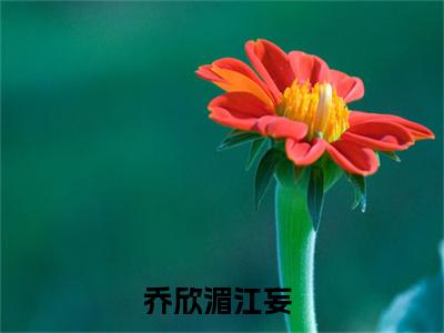 抖音热推乔欣湄江妄无弹窗阅读乔欣湄江妄小说免费阅读无弹窗