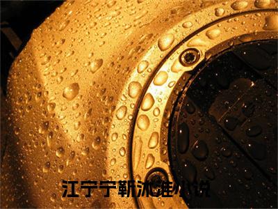 江宁宁靳沐淮全文免费阅读无弹窗大结局_（江宁宁靳沐淮无弹窗）江宁宁靳沐淮全文阅读最新章节列表笔趣阁