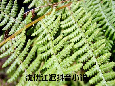 沈优江迟全文免费在线阅读_（沈优江迟全文免费阅读无弹窗大结局）