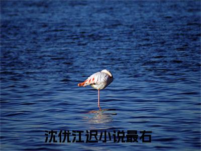 沈优江迟全文免费大结局-沈优江迟（沈优江迟）结局在线阅读