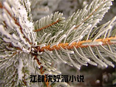 江肆沈妤湄小说-（江肆沈妤湄）小说全文免费阅读
