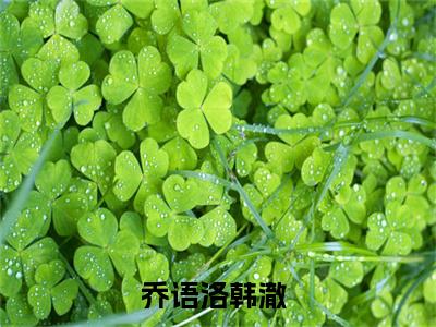乔语洛韩澈小说全文免费阅读无弹窗大结局_(乔语洛韩澈)乔语洛韩澈最新章节列表笔趣阁（乔语洛韩澈）