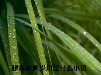 (热推新书)《穆青青周少川》无弹窗大结局（穆青青周少川）-抖音热推穆青青周少川无弹窗阅读最新章节列表_笔趣阁