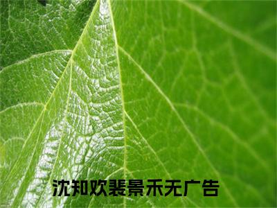 沈知欢裴景禾（沈知欢裴景禾）小说全文无广告阅读-沈知欢裴景禾小说赏析