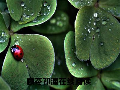 顾苓祁渊书名是《顾苓祁渊》在线赏析_顾苓祁渊txt小说阅读_顾苓祁渊在线阅读笔趣阁