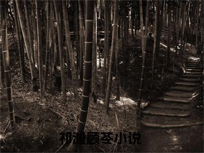 祁渊顾苓小说（祁渊顾苓）全文免费阅读无弹窗_祁渊顾苓全文免费阅读无弹窗最新章节列表笔趣阁（祁渊顾苓）