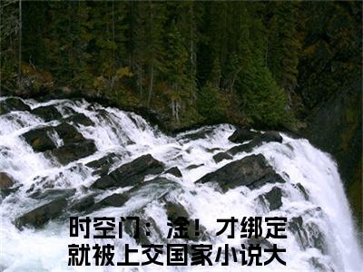 时空门：淦！才绑定就被上交国家(萧韶华)全文免费阅读无弹窗大结局_ (时空门：淦！才绑定就被上交国家)免费阅读无弹窗最新章节列表_笔趣阁