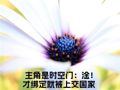 时空门：淦！才绑定就被上交国家(萧韶华)全文免费阅读无弹窗大结局_时空门：淦！才绑定就被上交国家免费阅读无弹窗最新章节列表_笔趣阁(萧韶华)