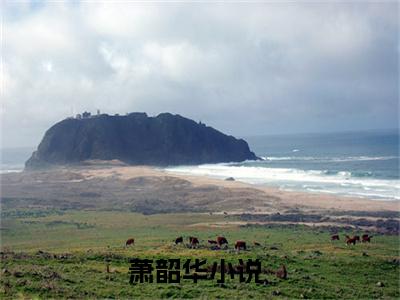 萧韶华小说全文（时空门：淦！才绑定就被上交国家）全文免费阅读无弹窗大结局_（萧韶华全文免费阅读无弹窗）时空门：淦！才绑定就被上交国家最新章节列表_笔趣阁（时空门：淦！才绑定就被上交国家）
