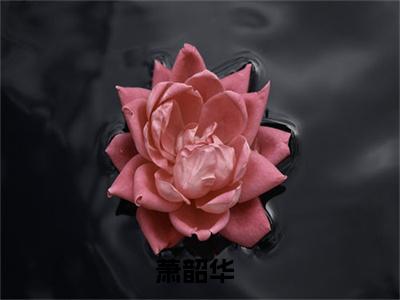 时空门：淦！才绑定就被上交国家在线阅读（萧韶华）全文无弹窗大结局_萧韶华全文在线阅读无弹窗