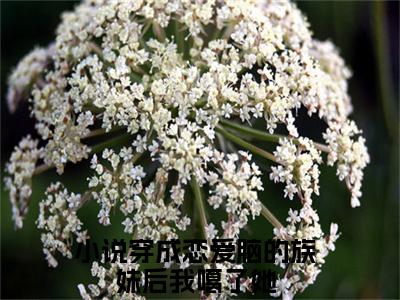主人公叫（穿成恋爱脑的族妹后我噶了她）的小说（陆清然）全文免费阅读最新章节列表_笔趣阁
