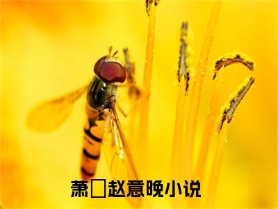 萧璟赵意晚（萧璟赵意晚）全文免费阅读无弹窗大结局_萧璟赵意晚免费最新章节列表_笔趣阁