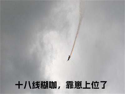 小甜甜小说（十八线糊咖，靠崽上位了）全文免费阅读无弹窗大结局_小甜甜小说最新章节列表_笔趣阁