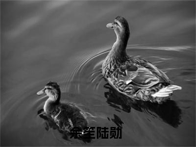 余笙陆勋（余笙陆勋）全文免费阅读无弹窗_（余笙陆勋小说全文免费阅读）余笙陆勋最新章节列表笔趣阁（余笙陆勋）