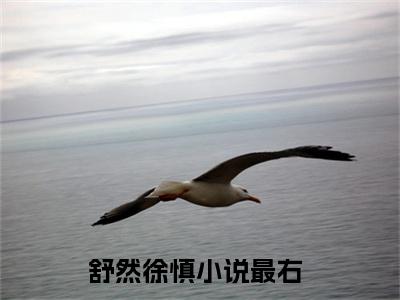 舒然徐慎（舒然徐慎）全文免费阅读无弹窗_舒然徐慎最新小说_笔趣阁（舒然徐慎）