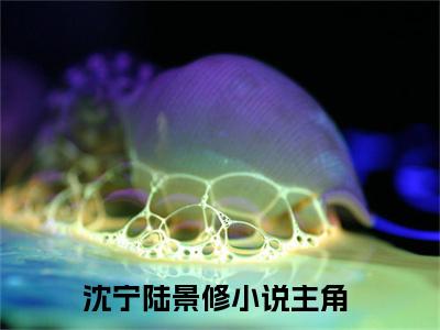 【新书】《沈宁陆景修》全文免费阅读无弹窗大结局-沈宁陆景修全文全章节免费阅读