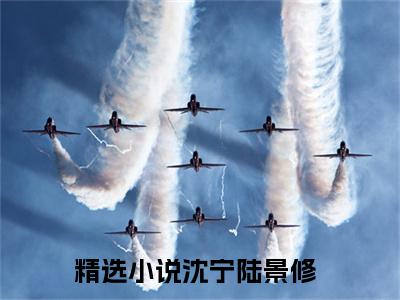 沈宁陆景修（沈宁陆景修）全文免费阅读无弹窗大结局_（沈宁陆景修无弹窗）最新章节免费阅读_笔趣阁