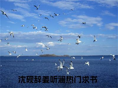 沈砚辞姜听澜（沈砚辞姜听澜）全文免费阅读无弹窗大结局_沈砚辞姜听澜最新章节列表_笔趣阁