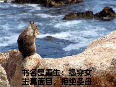 谢玉瑾沈菀小说（重生：揭穿女主真面目，拒绝圣母心 ）全文免费阅读_谢玉瑾沈菀小说重生：揭穿女主真面目，拒绝圣母心 小说最新章节列表笔趣阁