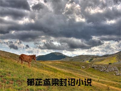 郁芷鸢梁封诏（郁芷鸢梁封诏)全文免费阅读无弹窗大结局_郁芷鸢梁封诏（郁芷鸢梁封诏）全文完整无删减版免费阅读（郁芷鸢梁封诏）