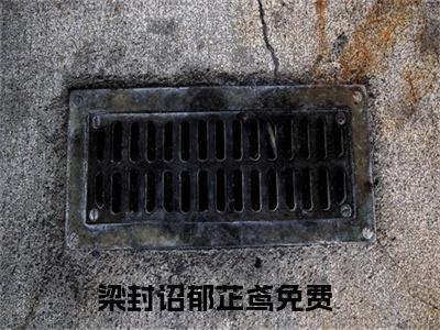 梁封诏郁芷鸢精彩小说梁封诏郁芷鸢大结局全本免费阅读