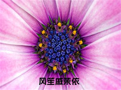 风笙戚茉依全文免费阅读无弹窗大结局_（风笙戚茉依）完整版全文在线赏析