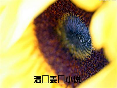 温湉姜珣什么小说 温湉姜珣全文免费阅读在线阅读