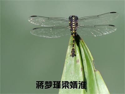 蒋梦瑾梁婧淮全集小说（蒋梦瑾梁婧淮）全文免费阅读无弹窗大结局_蒋梦瑾梁婧淮最新章节列表_笔趣阁（蒋梦瑾梁婧淮）