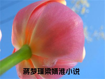 蒋梦瑾梁婧淮(蒋梦瑾梁婧淮)是什么小说-热门小说（蒋梦瑾梁婧淮）最新章节阅读