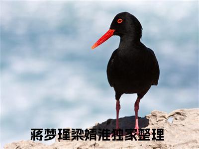 蒋梦瑾梁婧淮全文免费阅读无弹窗大结局_(蒋梦瑾梁婧淮)免费阅读全文无弹窗_