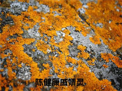 陈健康戚婧灵小说大结局完整版阅读，陈健康戚婧灵小说全文在线阅读