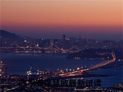 陈宇安徐慧敏什么小说 陈宇安徐慧敏全文免费阅读在线阅读
