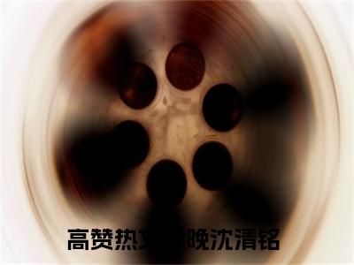 尹晚沈清铭（尹晚沈清铭无弹窗）全文免费阅读无弹窗大结局_尹晚沈清铭最新章节列表_笔趣阁（尹晚沈清铭无弹窗）
