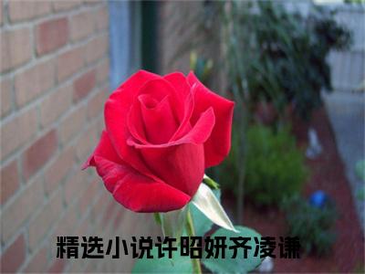 许昭妍齐凌谦最新完结免费阅读-许昭妍齐凌谦悬疑小说在线阅读