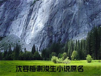 （沈容梅谢浚生）小说全文免费阅读-微小说（沈容梅谢浚生）完整版阅读