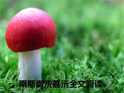 南斯御沈嘉沅（南斯御沈嘉沅）全文免费阅读无弹窗大结局_（南斯御沈嘉沅小说全文免费阅读）南斯御沈嘉沅最新章节列表笔趣阁（南斯御沈嘉沅）