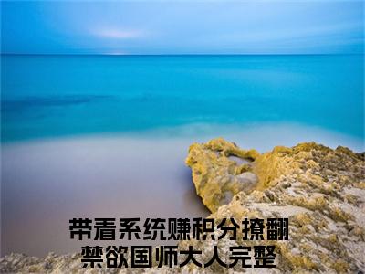 带着系统赚积分撩翻禁欲国师大人（镜渊凤浅）小说最后结局-（镜渊凤浅）完结版免费阅读