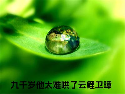 九千岁他太难哄了（云鲤卫璋）全文在线阅读无弹窗大结局_(九千岁他太难哄了在线阅读)最新章节列表_笔趣阁（云鲤卫璋）