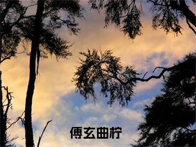 傅玄曲柠热门小说最新章节阅读-老书虫书荒推荐热点小说（傅玄曲柠）