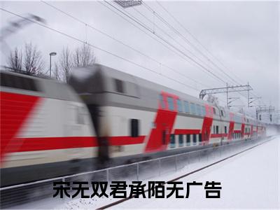 宋无双君承陌全文(宋无双君承陌)全文免费阅读无弹窗大结局_ 宋无双君承陌全文免费阅读最新章节列表