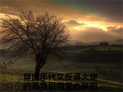 （热推新书）《艾心林阳》全文免费阅读无弹窗大结局-穿成年代文反派大佬的恶毒后妈无弹窗阅读