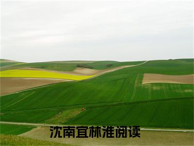 沈南宜林淮长篇小说免费阅读-小说最新试读