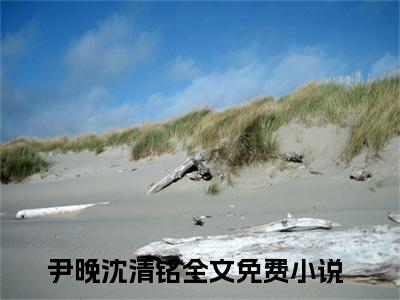 尹晚沈清铭小说全文免费阅读-星河滚烫小说最新章节列表（尹晚沈清铭）