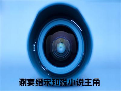 谢宴缙宋知淼（谢宴缙宋知淼）全文免费阅读无弹窗大结局_谢宴缙宋知淼最新章节列表_笔趣阁（谢宴缙宋知淼）