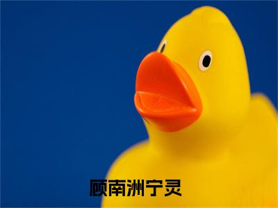 顾南洲宁灵全文免费阅读_顾南洲宁灵（顾南洲宁灵）小说在线阅读最新章节列表笔趣阁